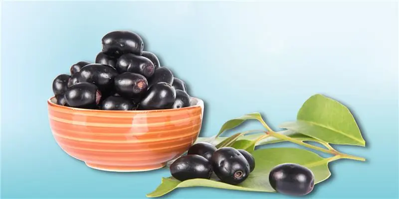 Jamun (Indian Blackberry)