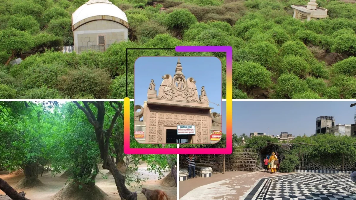 Nidhivan, Vrindavan
