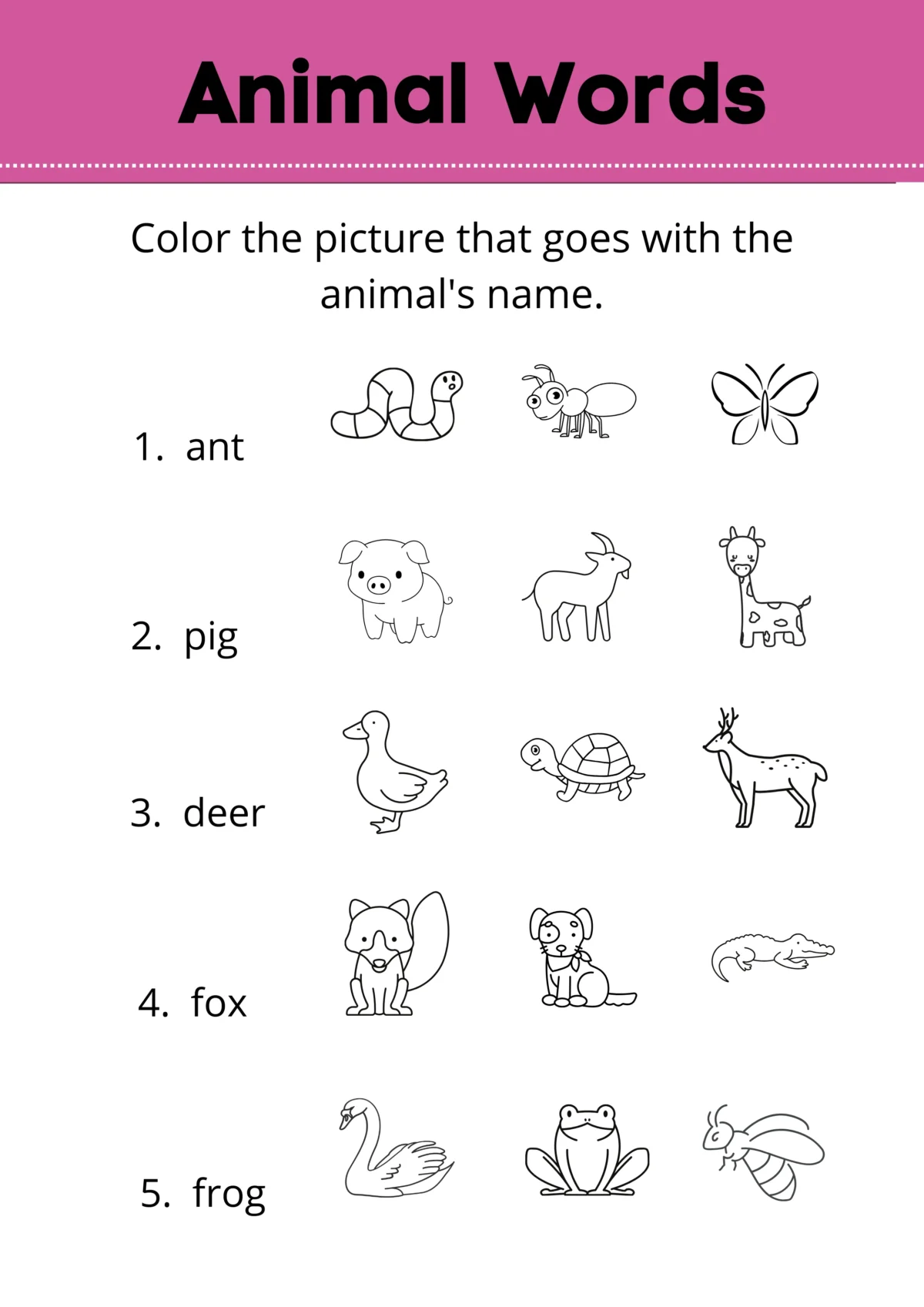 Animal Words Illustrative