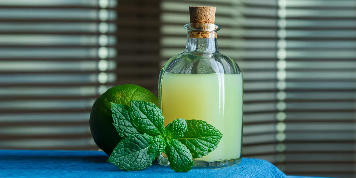 Paan Leaf Water