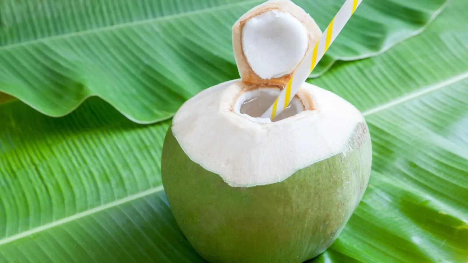 Superfoods for Mom and Baby’s Brain