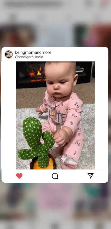 Talking Cactus