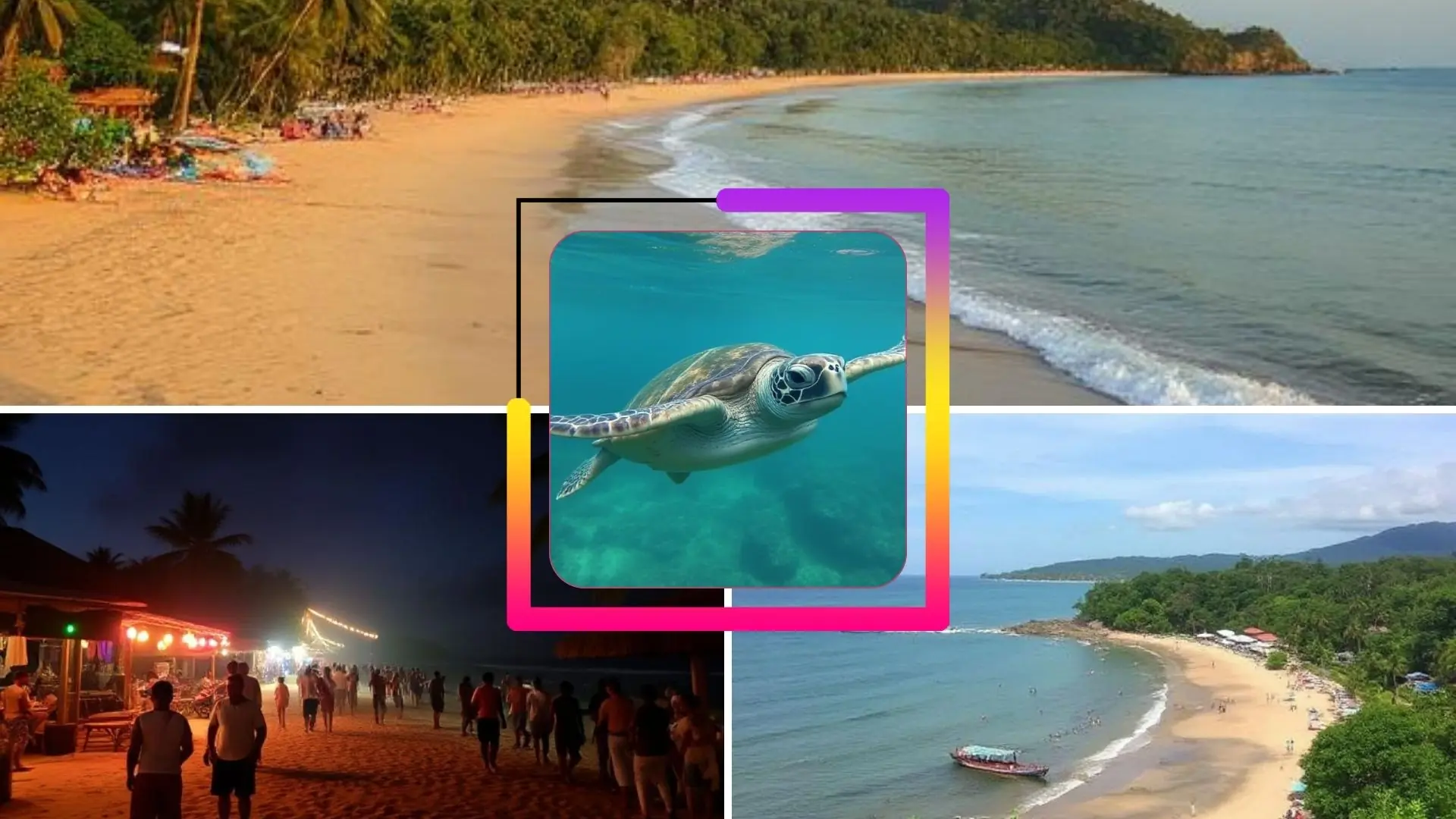 Tropical beach scenes collage