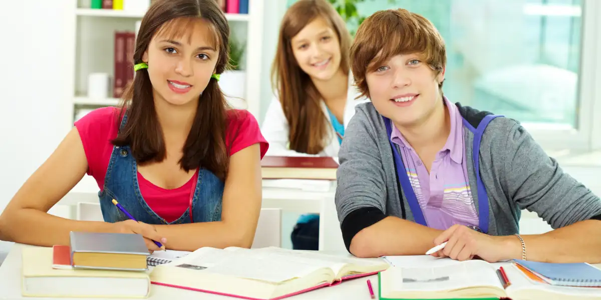 icse-3