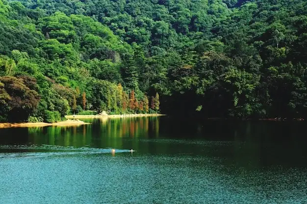 sweet water lake