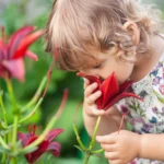 Smell-It-and-Tell-It