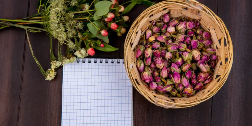 Manjistha – The Blood Helper