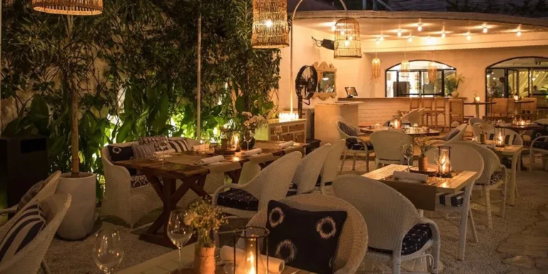 My Personal Journey to Couple-Friendly Restaurants Near Me in Chandigarh