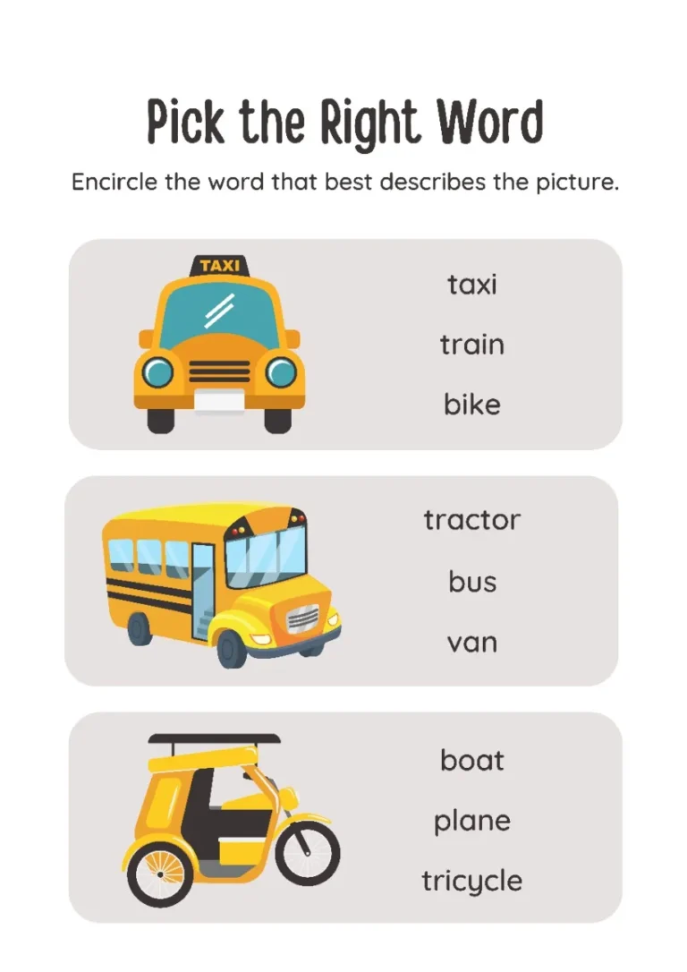 Transportation Worksheets: Pick The Right One and Circle