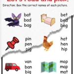 Black and White Illustrative CVC Worksheet