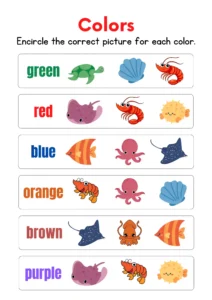 Colorful Fun Color Identification