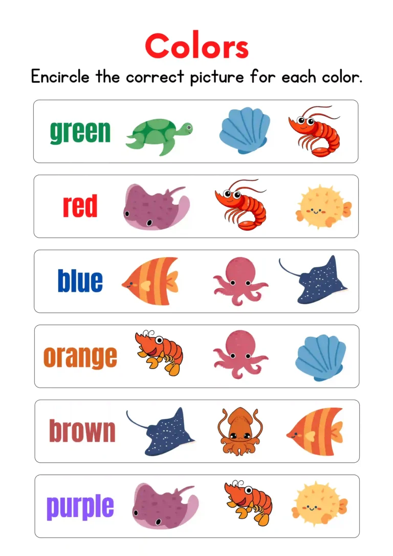 Colorful Fun Color Identification