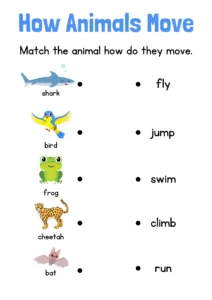 Colorful Illustrative How Animals Move