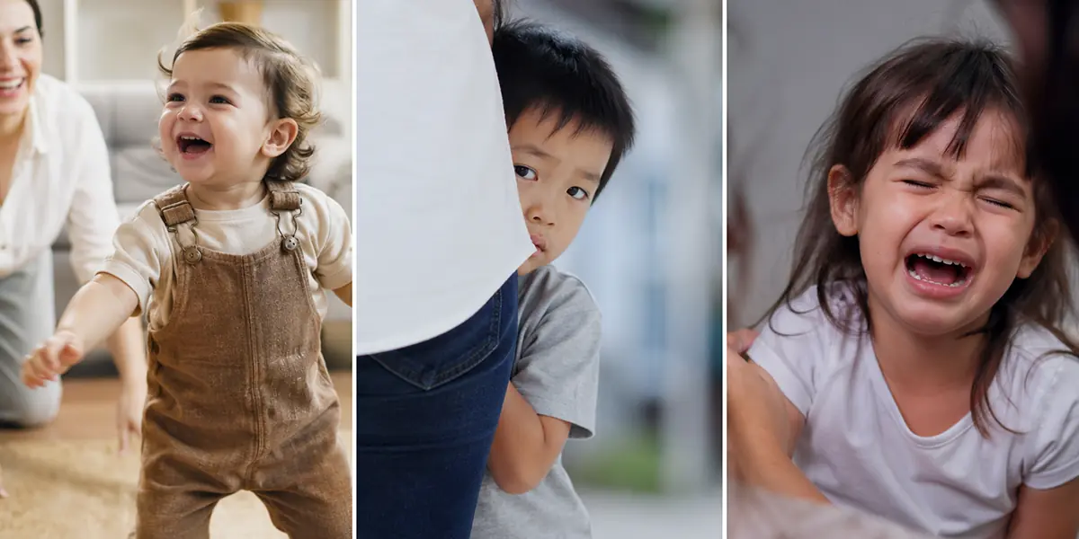 Decoding the Three Temperament Types