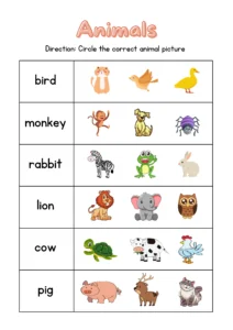 Identify an Animal By Given Name