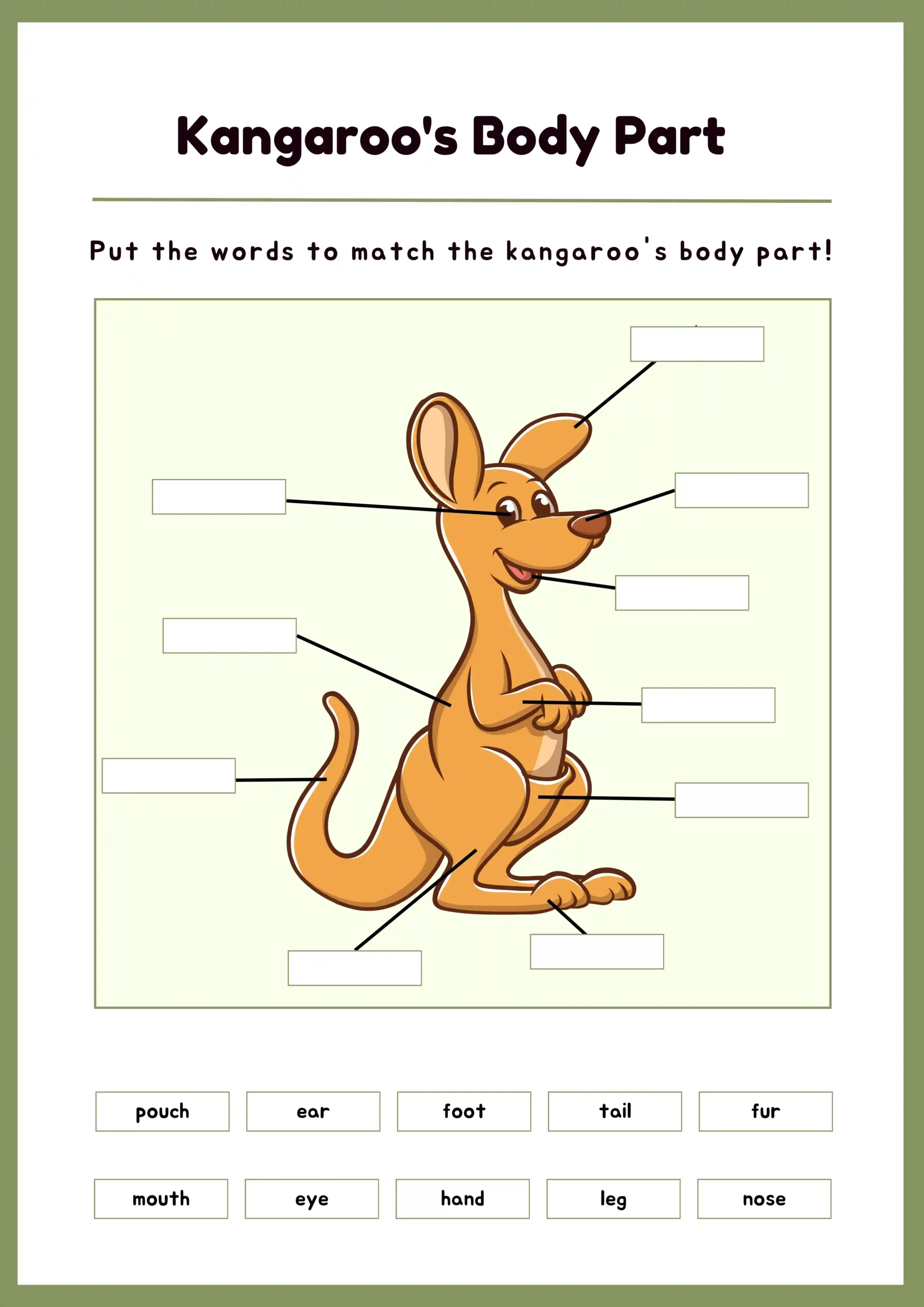 The Kangaroos Body Parts